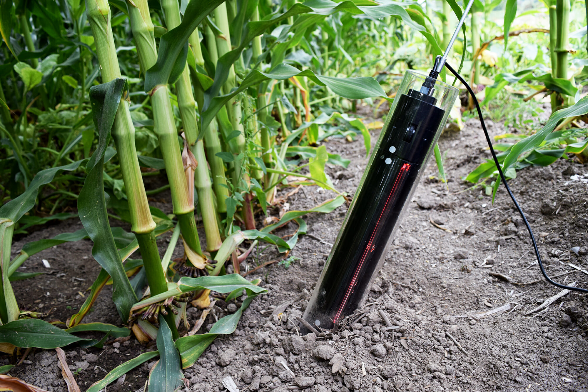 CI-600 In-Situ Root Imager