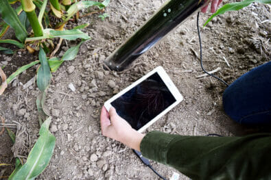 CI-600 In-Situ Root Imager