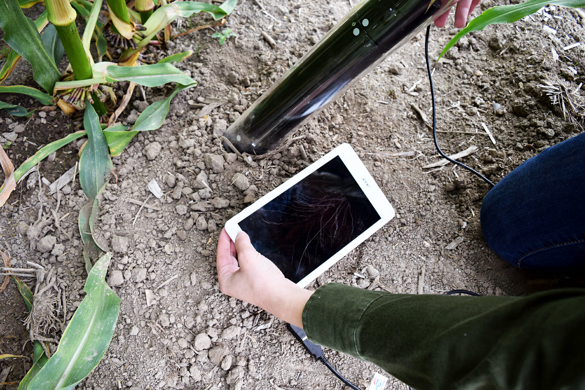 CI-600 In-Situ Root Imager