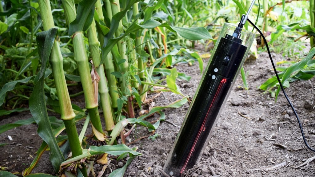 CI-600 In-Situ Root Imager