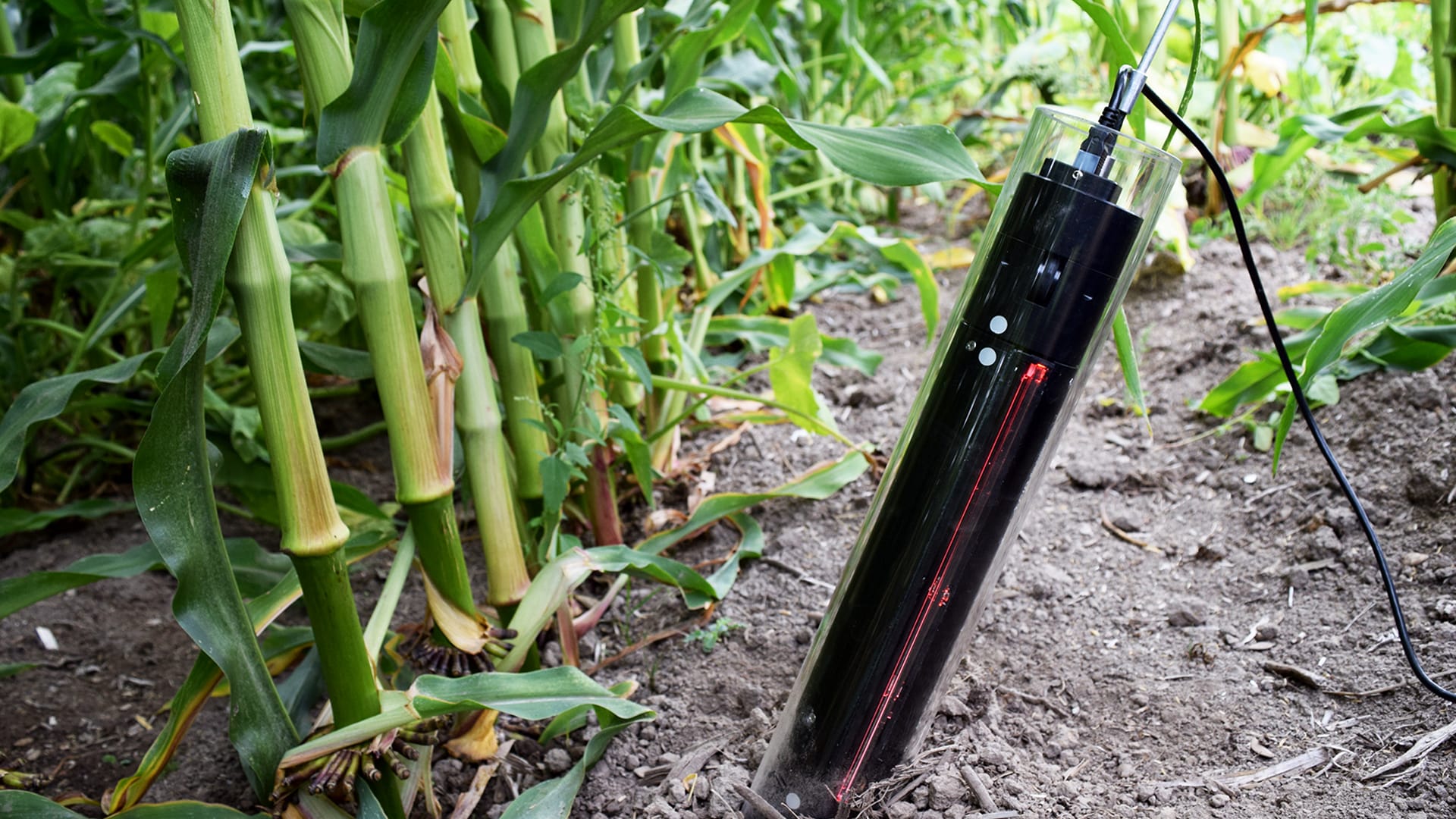 CI-600 In-Situ Root Imager