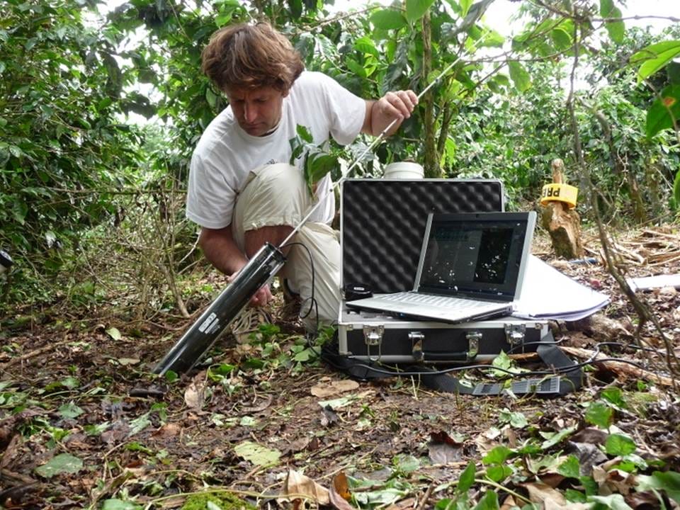 CI-600 Reducing Labour in Root Studies