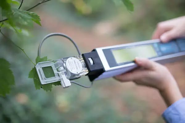 CI-340 Handheld Photosynthesis System